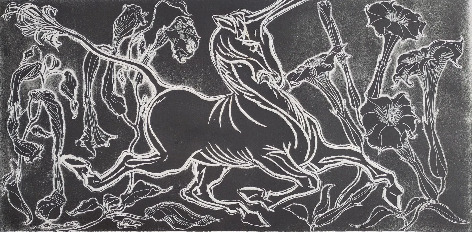 Unicorn Among the Blooms, an etching by Bruce Thomson in white line on black, a unicorn among trumpet flowers