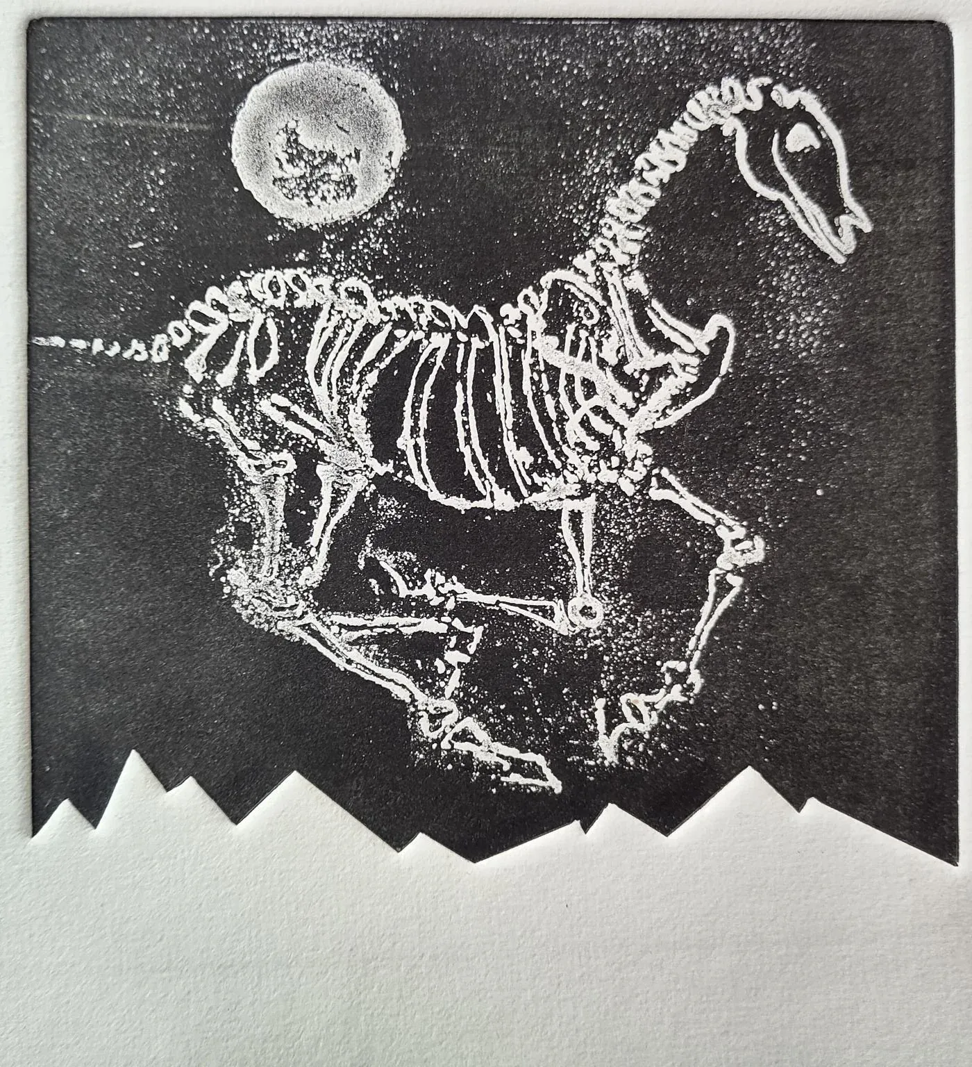 Nocturnal Bones, an etching by Bruce Thomson of a horse skeleton in white line on black beneath a moon, with a jagged ridge below
