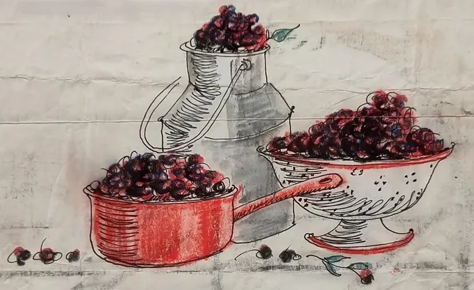 Wild Cherry Picking, a pan and colander piled with dark wild cherries, from an illustrated letter home by Bruce Thomson