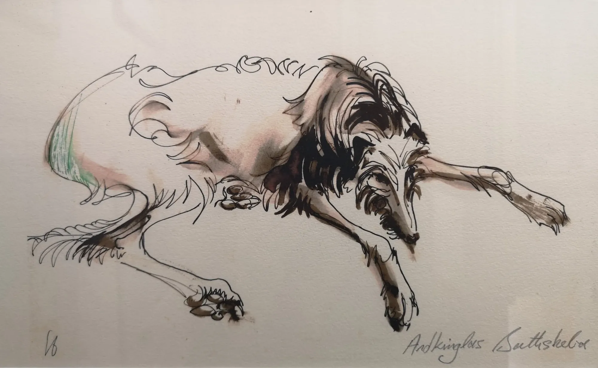 Ardkinglas Bathsheba, a pen-and-ink drawing by Bruce Thomson of a deerhound lying with its head turned